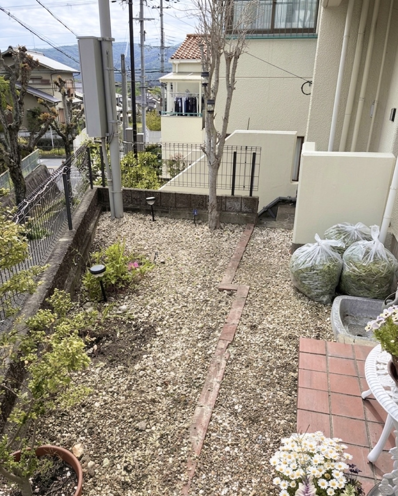 草むしり後のお庭