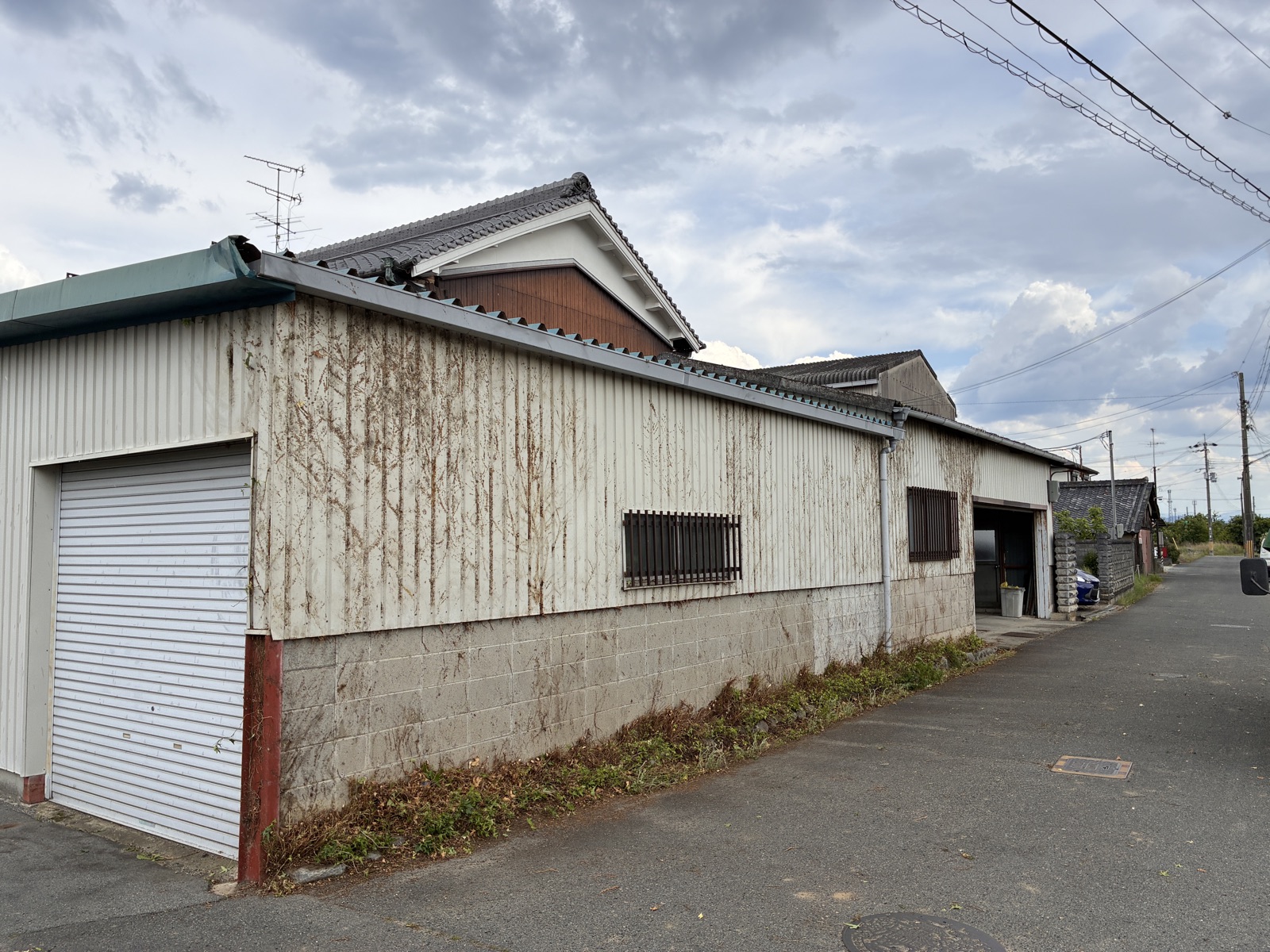 つる草除去後の外壁